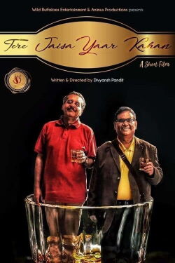 Tere Jaisa Yaar Kahan (2017)
