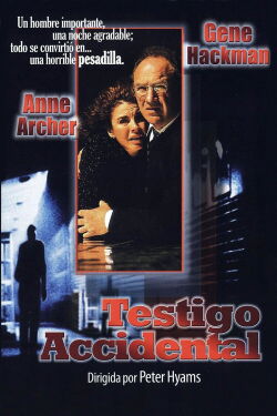 Testigo accidental (1990)