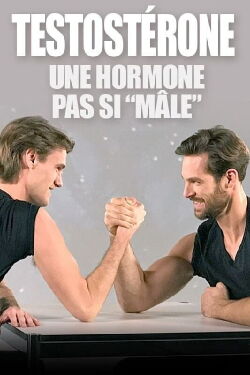 Testostérone : une hormone pas si