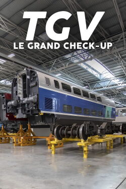 TGV : Le Grand Check-up (2022)