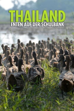 Thailand - Enten auf der Schulbank (2019)