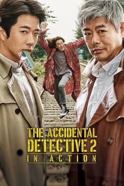 The Accidental Detective 2 : In Action (2018)