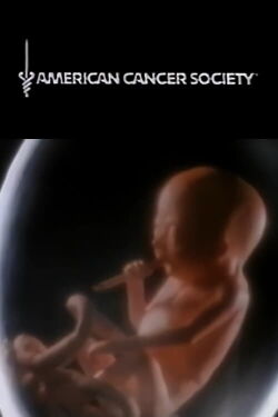 The American Cancer Society: Smoking Fetus (1985)