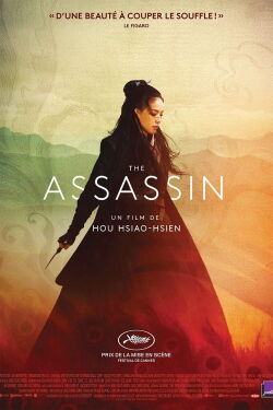 The Assassin (2015)