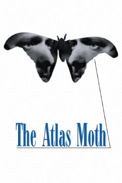 The Atlas Moth (2001)
