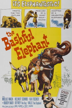 The Bashful Elephant (1962)
