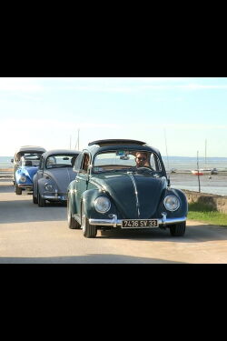 The Beetle, A Timeless Car (2019)