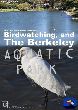 The Berkeley Aquatic Park (2021)