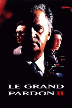 The Big Pardon 2 (1992)