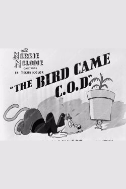 The Bird Came C.O.D. (1942)