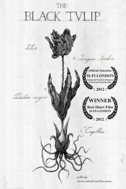 The Black Tulip (2013)