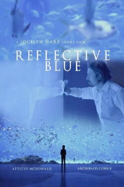 The Blue Mirror (2019)