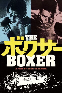 The Boxer (1977)