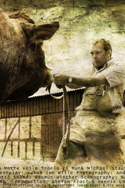 The Bull (2003)