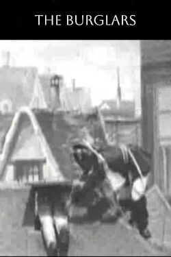 The Burglars (1898)