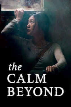 The Calm Beyond (2020)