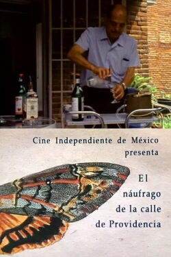 The Castaway on the Street of Providence (1971)