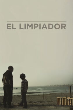 The Cleaner (2013)