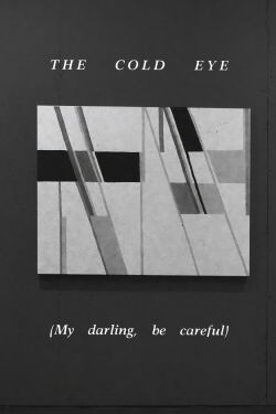 The Cold Eye (My Darling, Be Careful) (1980)