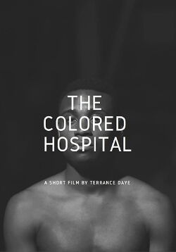The Colored Hospital: A Visual Poem (2017)