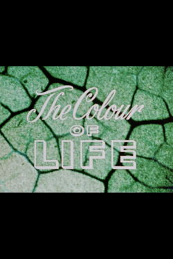 The Colour of Life (1955)