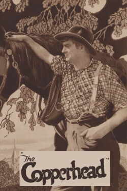 The Copperhead (1920)