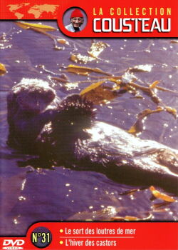 The Cousteau Collection N°31-1 | The Fate of Sea Otters (1971)