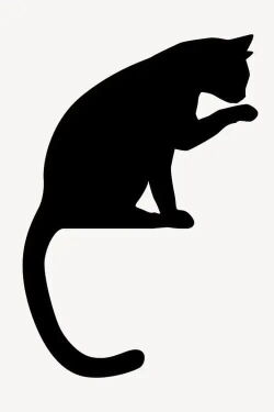 The Crooked Taled Cat (2015)