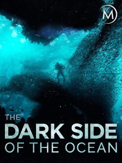The Dark Side of the Ocean (2015)