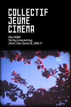 The Day is two feet long (1980)