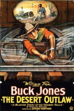 The Desert Outlaw (1924)