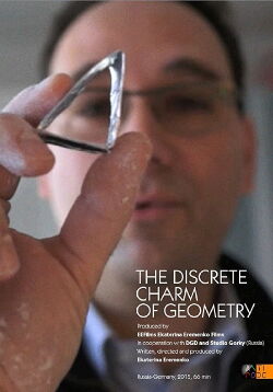 The Discrete Charm of Geometry (2015)
