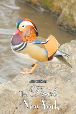The Duck of New York (2023)