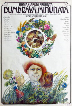 The Enchanted Grove (1980)