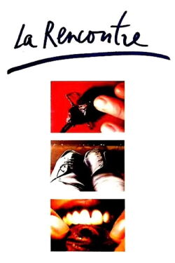 The Encounter (1996)