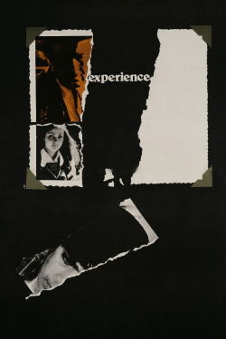 The Experience (1973)