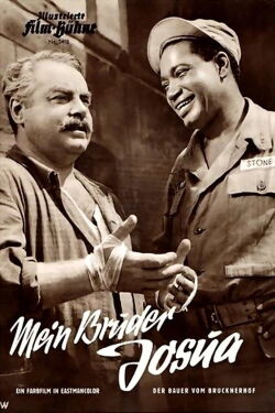 The Farmer from Brucknerhof (1956)