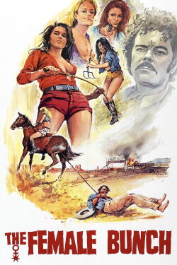 The Female Bunch (1971)