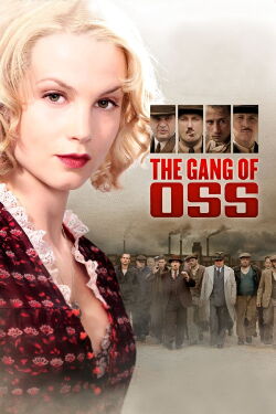 The gang (2011)