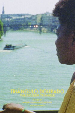 The Golden Triangle (2014)