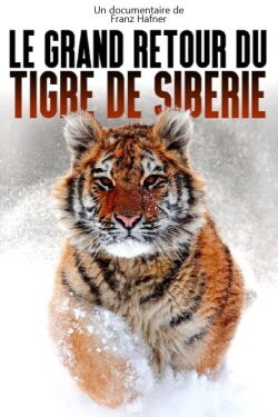 The Great Return of the Siberian Tiger (2021)