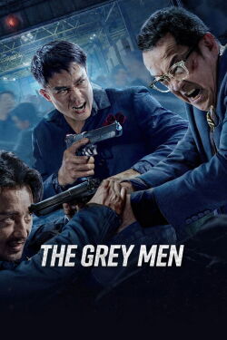 The Grey Man (2024)