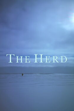 The Herd (1998)