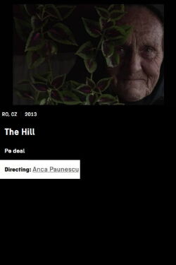 The Hill (2014)