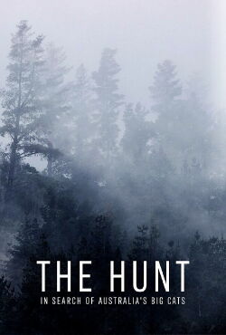 The Hunt: In Search of Australia's Big Cats (2021)