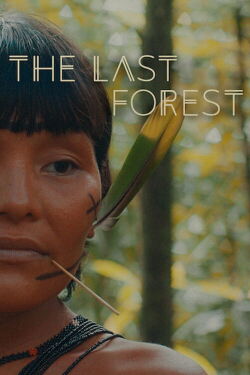 The last forest (2021)