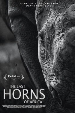 The Last Horns Of Africa (2021)