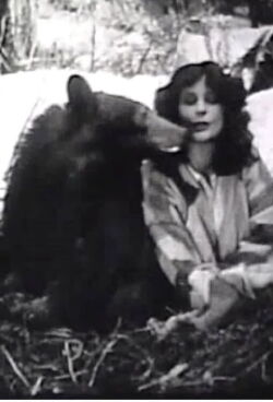 The Light on Lookout Mountain (1926)