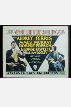The Little Wildcat (1928)