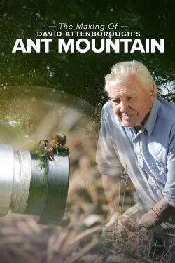The Making of David Attenborough's Ant Mountain (2018)